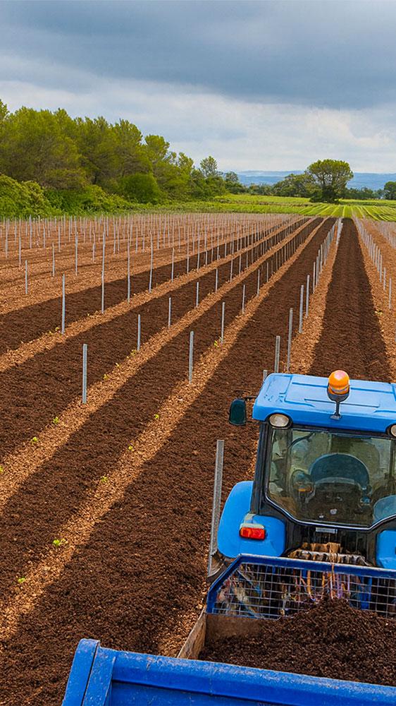 terre-agriculteur-achat