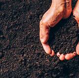 Ottaviani distribution