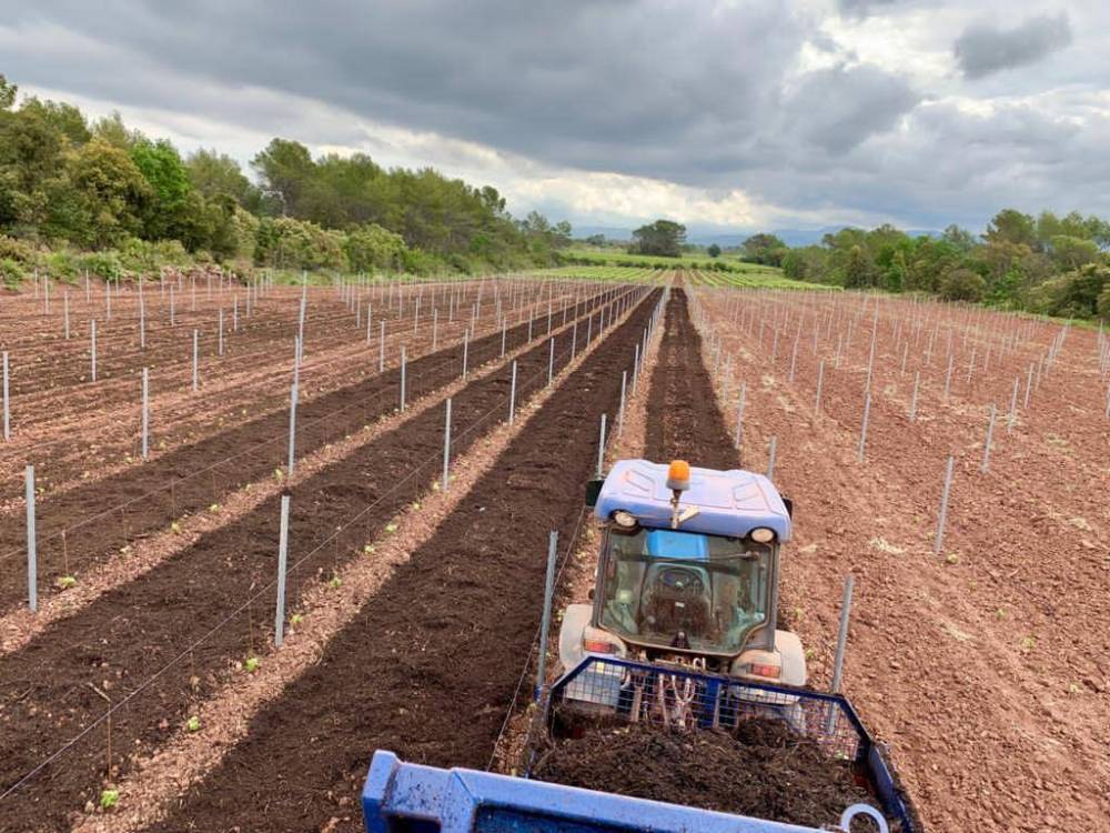 TRAVAUX AGRICOLE (2)