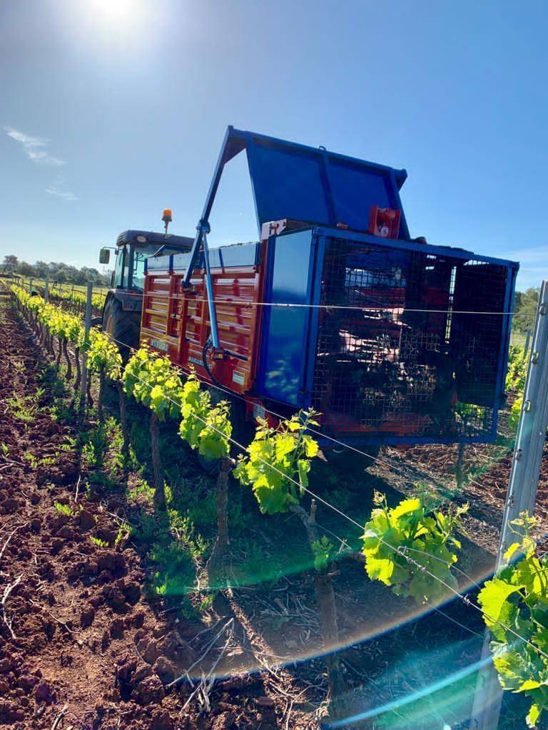 TRAVAUX AGRICOLE (4)